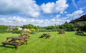 We have a wonderful landscaped Beer Garden